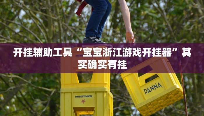 开挂辅助工具“宝宝浙江游戏开挂器”其实确实有挂