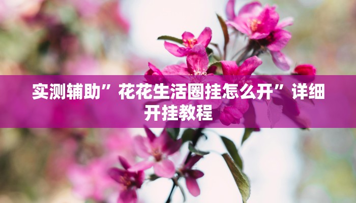 实测辅助”花花生活圈挂怎么开”详细开挂教程