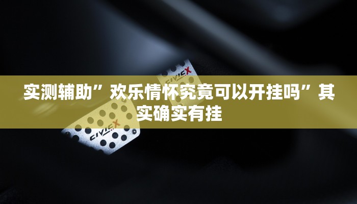 实测辅助”欢乐情怀究竟可以开挂吗”其实确实有挂