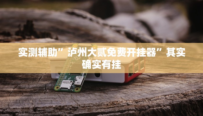 实测辅助”泸州大贰免费开挂器”其实确实有挂