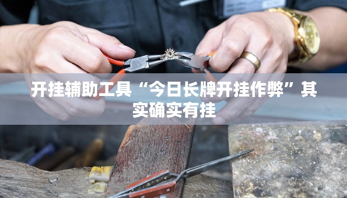 开挂辅助工具“今日长牌开挂作弊”其实确实有挂