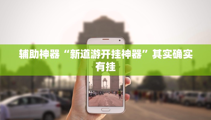 辅助神器“新道游开挂神器”其实确实有挂