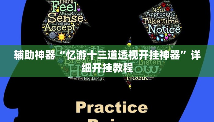 辅助神器“忆游十三道透视开挂神器”详细开挂教程