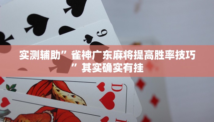 实测辅助”雀神广东麻将提高胜率技巧”其实确实有挂