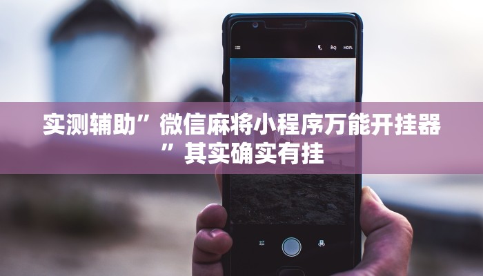 实测辅助”微信麻将小程序万能开挂器”其实确实有挂
