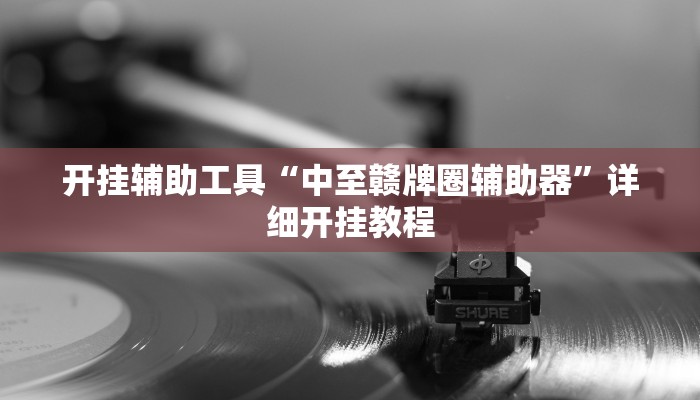 开挂辅助工具“中至赣牌圈辅助器”详细开挂教程