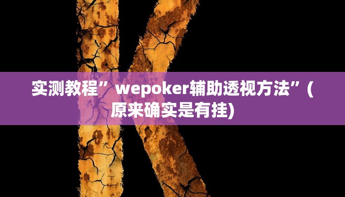 实测教程”wepoker辅助透视方法”(原来确实是有挂)