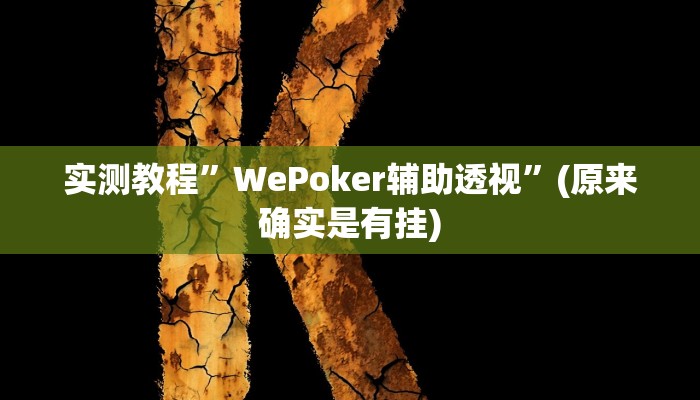 实测教程”WePoker辅助透视”(原来确实是有挂)