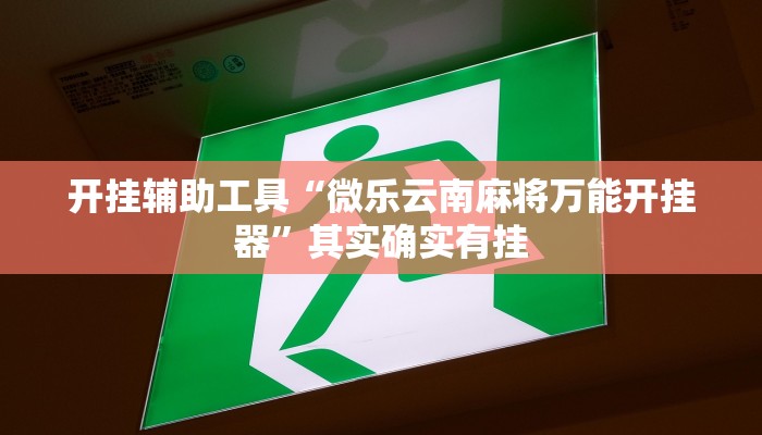 辅助神器“洋洋挖花开挂神器”其实确实有挂