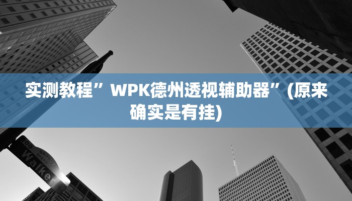 实测教程”WPK德州透视辅助器”(原来确实是有挂)