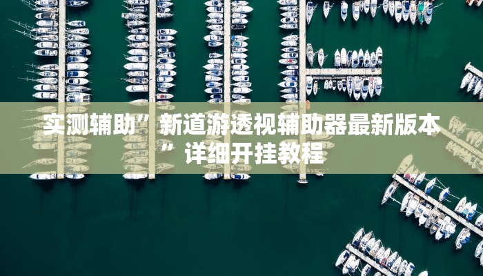 实测辅助”新道游透视辅助器最新版本”详细开挂教程