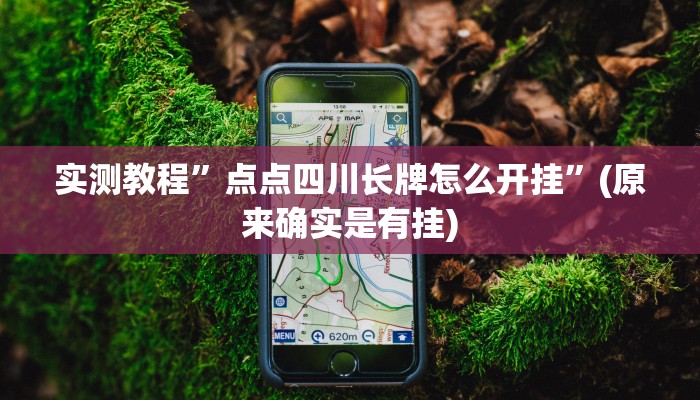 实测教程”点点四川长牌怎么开挂”(原来确实是有挂)