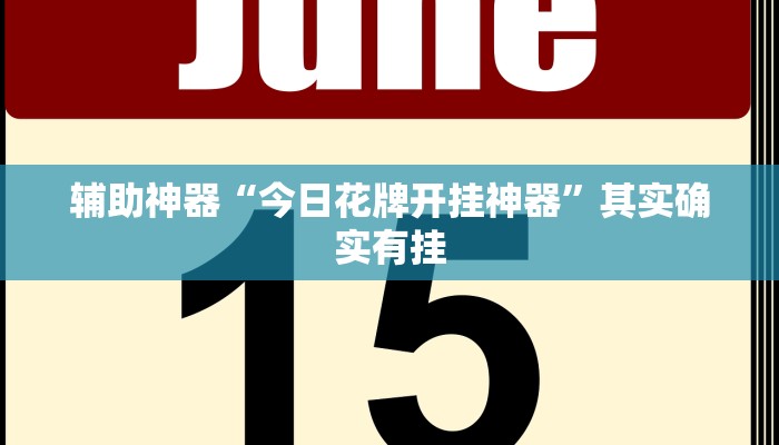 辅助神器“今日花牌开挂神器”其实确实有挂