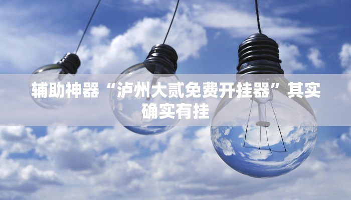 辅助神器“泸州大贰免费开挂器”其实确实有挂