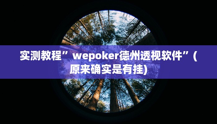 实测教程”wepoker德州透视软件”(原来确实是有挂)