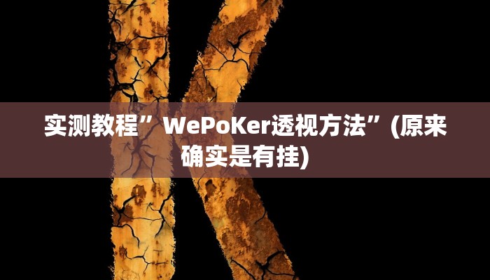 实测教程”WePoKer透视方法”(原来确实是有挂)