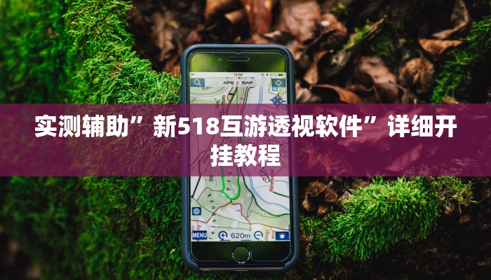 实测辅助”新518互游透视软件”详细开挂教程