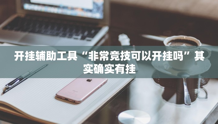 开挂辅助工具“非常竞技可以开挂吗”其实确实有挂