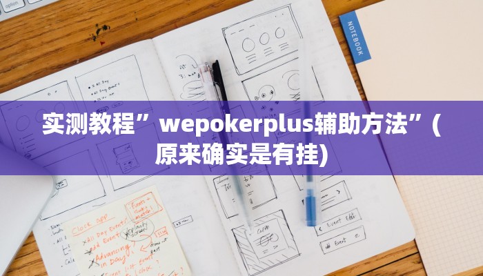实测教程”wepokerplus辅助方法”(原来确实是有挂)