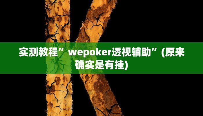 实测教程”wepoker透视辅助”(原来确实是有挂)