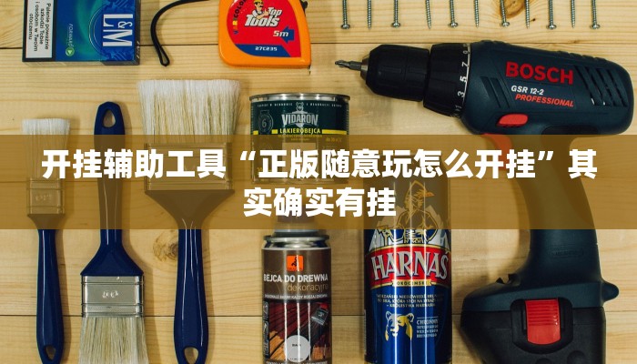 开挂辅助工具“正版随意玩怎么开挂”其实确实有挂