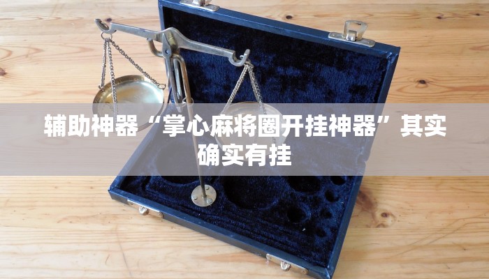辅助神器“掌心麻将圈开挂神器”其实确实有挂