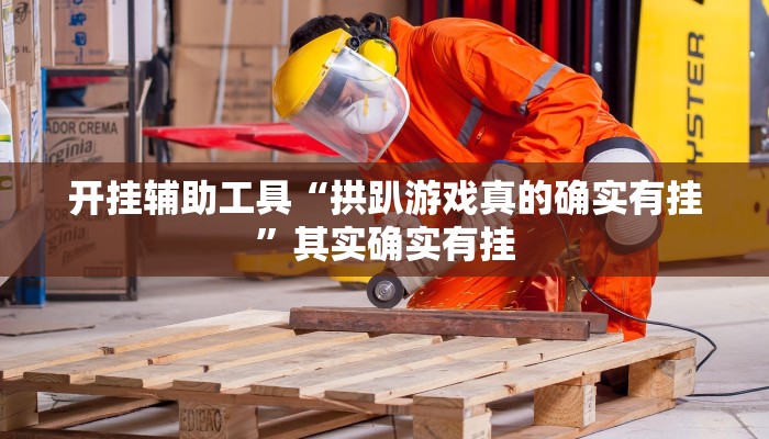 开挂辅助工具“拱趴游戏真的确实有挂”其实确实有挂