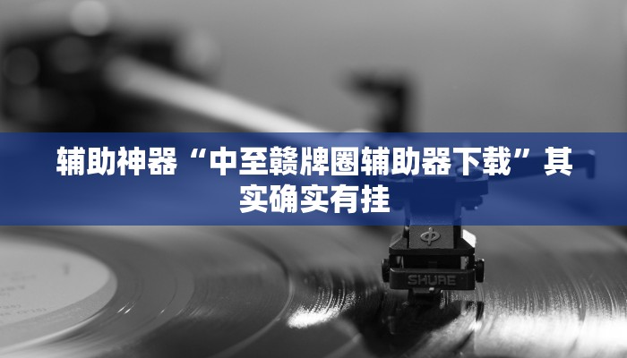 辅助神器“中至赣牌圈辅助器下载”其实确实有挂
