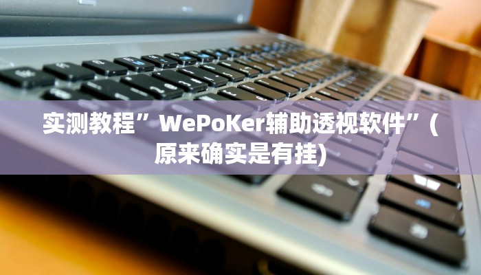 实测教程”WePoKer辅助透视软件”(原来确实是有挂)