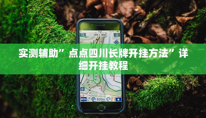 辅助神器“老胡麻将开挂神器”其实确实有挂