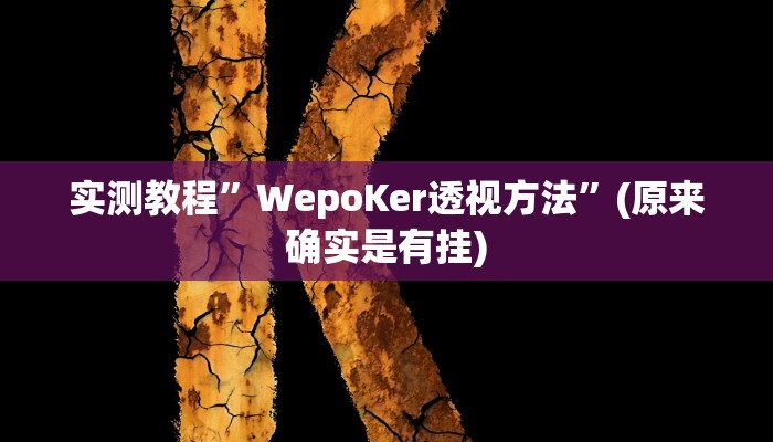 实测教程”德扑之星辅助开挂”(原来确实是有挂)