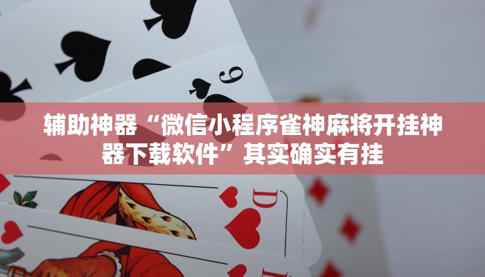 辅助神器“微信小程序雀神麻将开挂神器下载软件”其实确实有挂