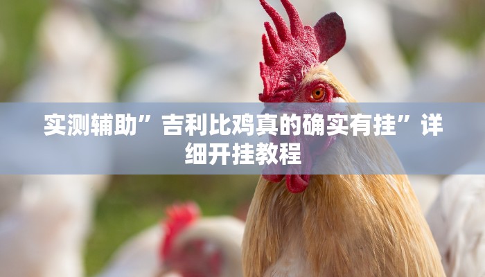 实测辅助”吉利比鸡真的确实有挂”详细开挂教程