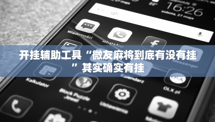 开挂辅助工具“微友麻将到底有没有挂”其实确实有挂