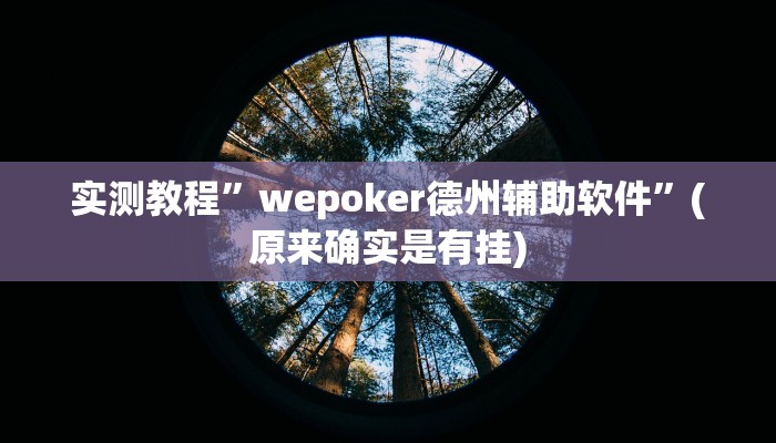 实测教程”wepokerplus有辅助挂吗”(原来确实是有挂)