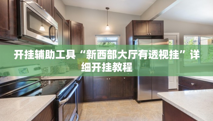 开挂辅助工具“新西部大厅有透视挂”详细开挂教程