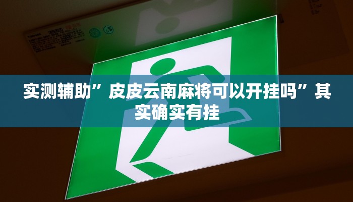 实测辅助”皮皮云南麻将可以开挂吗”其实确实有挂