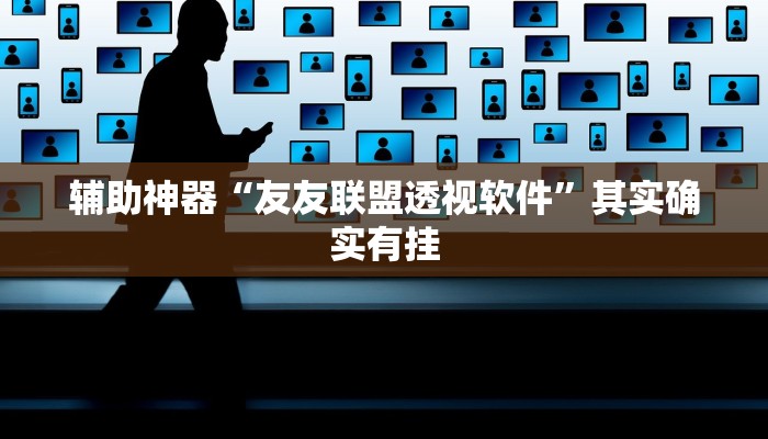 辅助神器“友友联盟透视软件”其实确实有挂