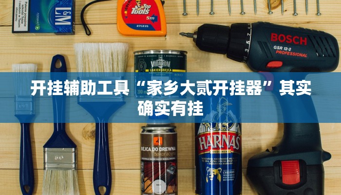 开挂辅助工具“家乡大贰开挂器”其实确实有挂