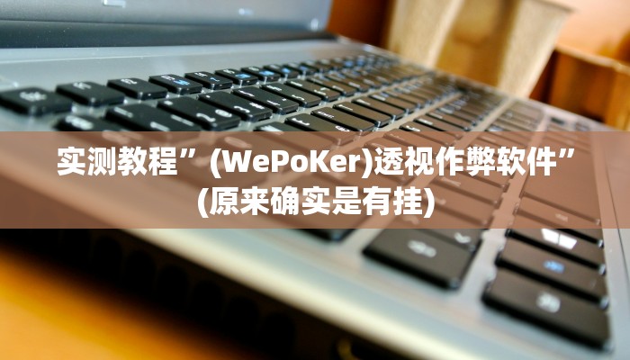实测教程”(WePoKer)透视作弊软件”(原来确实是有挂)