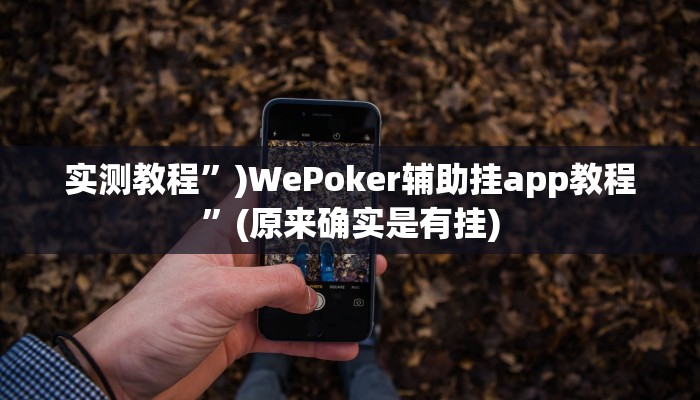 实测教程”)WePoker辅助挂app教程”(原来确实是有挂)
