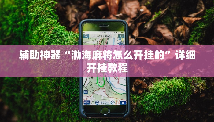 辅助神器“渤海麻将怎么开挂的”详细开挂教程