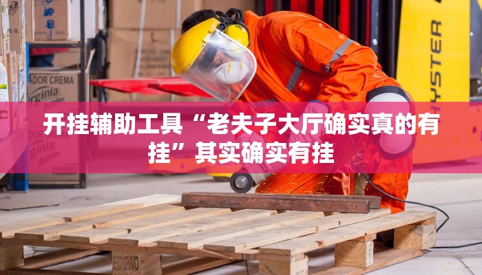 开挂辅助工具“老夫子大厅确实真的有挂”其实确实有挂
