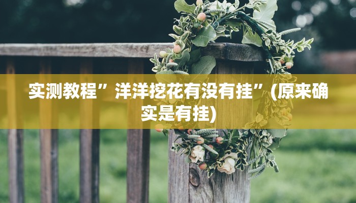实测教程”洋洋挖花有没有挂”(原来确实是有挂)