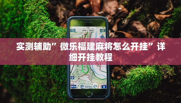 实测辅助”微乐福建麻将怎么开挂”详细开挂教程