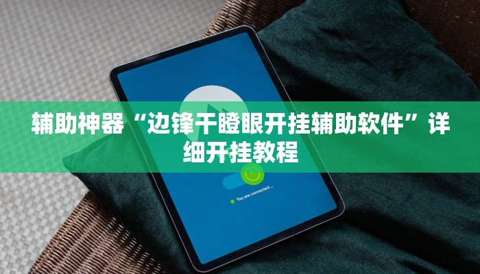 辅助神器“边锋干瞪眼开挂辅助软件”详细开挂教程