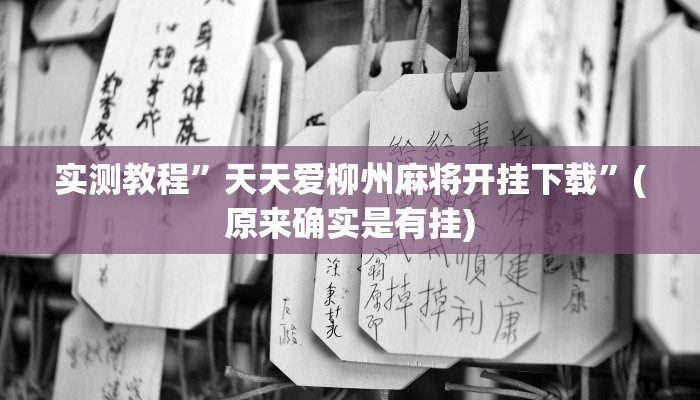 实测教程”天天爱柳州麻将开挂下载”(原来确实是有挂)