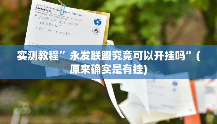 实测教程”永发联盟究竟可以开挂吗”(原来确实是有挂)