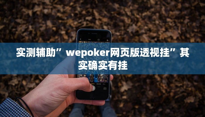 实测辅助”wepoker网页版透视挂”其实确实有挂