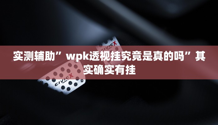 实测辅助”wpk透视挂究竟是真的吗”其实确实有挂